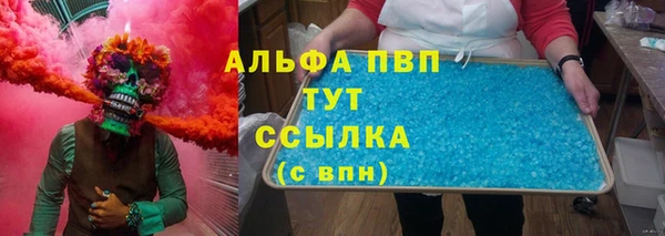 тгк Ростов